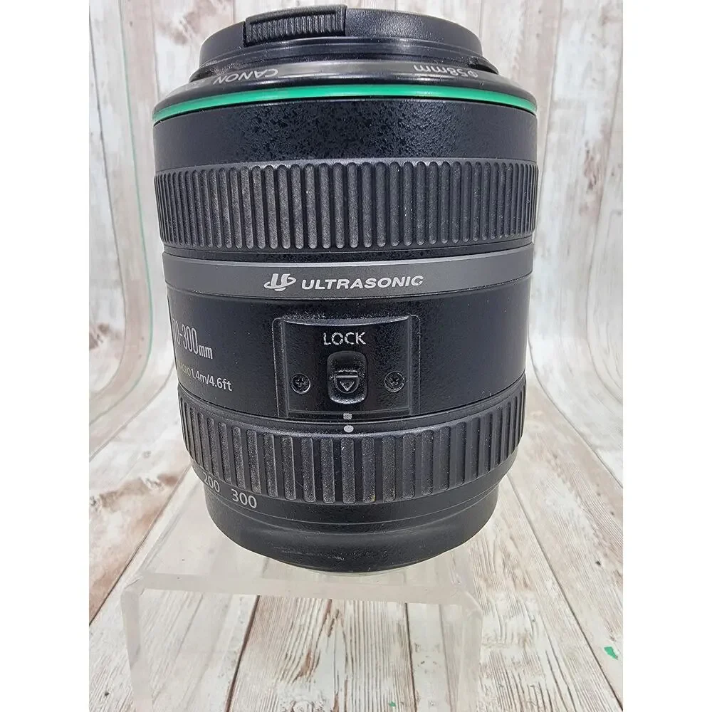 Canon EOS EF 70-300mm f4.5-5.6 DO IS USM Telephoto Zoom Lens